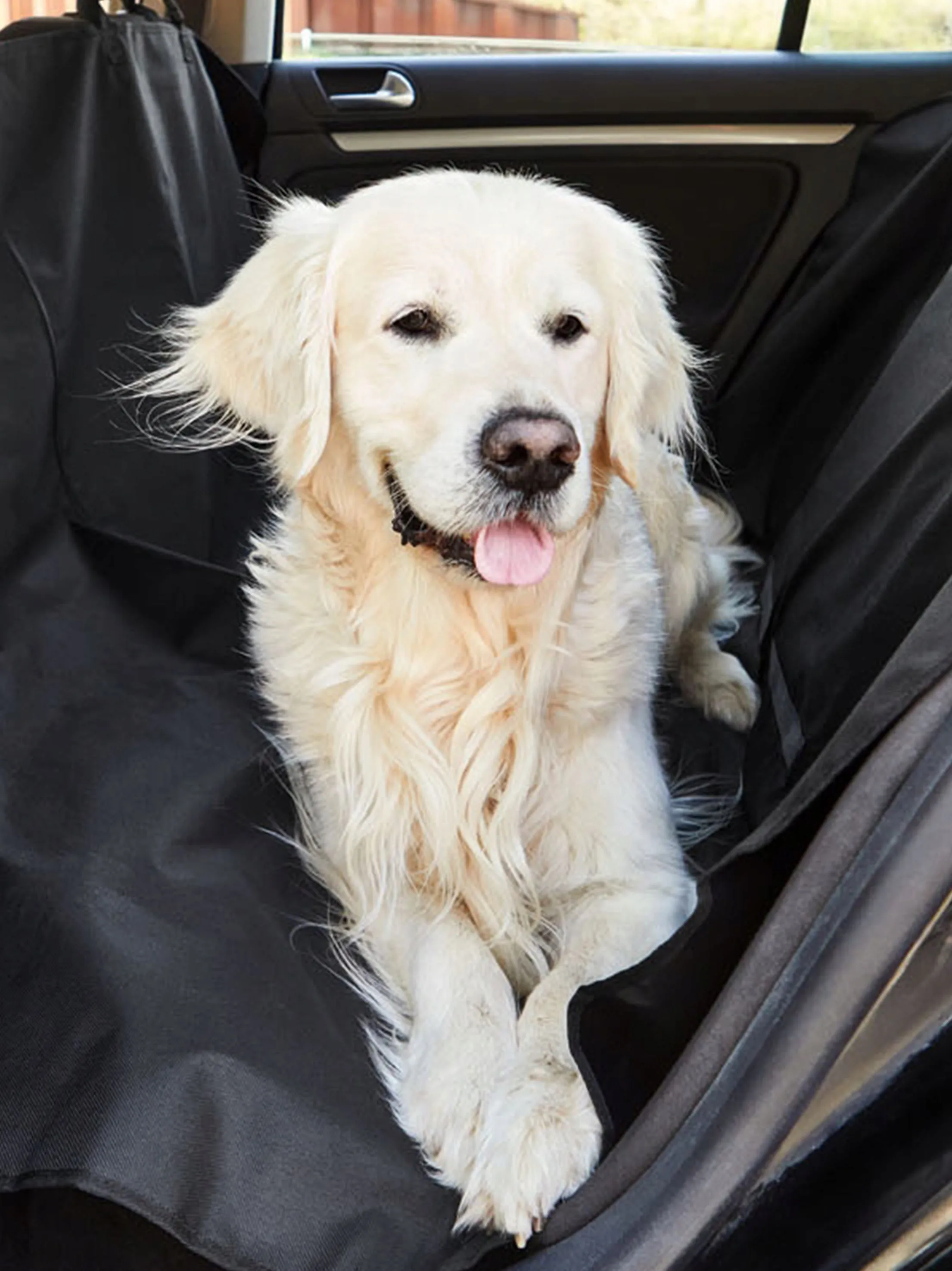 Dog Protection Mat