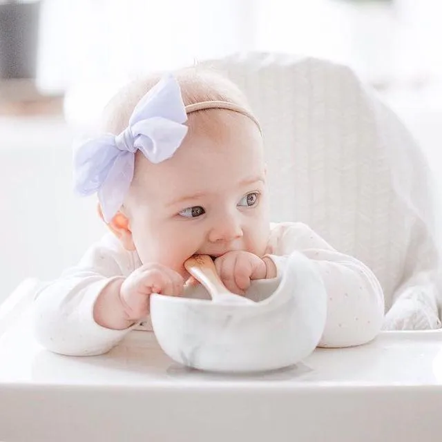 Glitter & Spice Silicone Bowl   Spoon Set - Dusty Rose